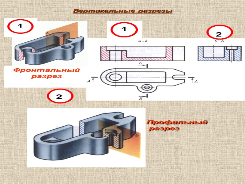 Вертикальные разрезы Фронтальный разрез 2 2 Профильный  разрез